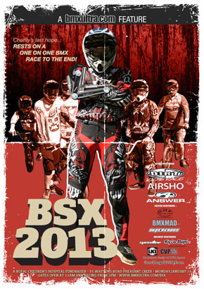 bsx2013