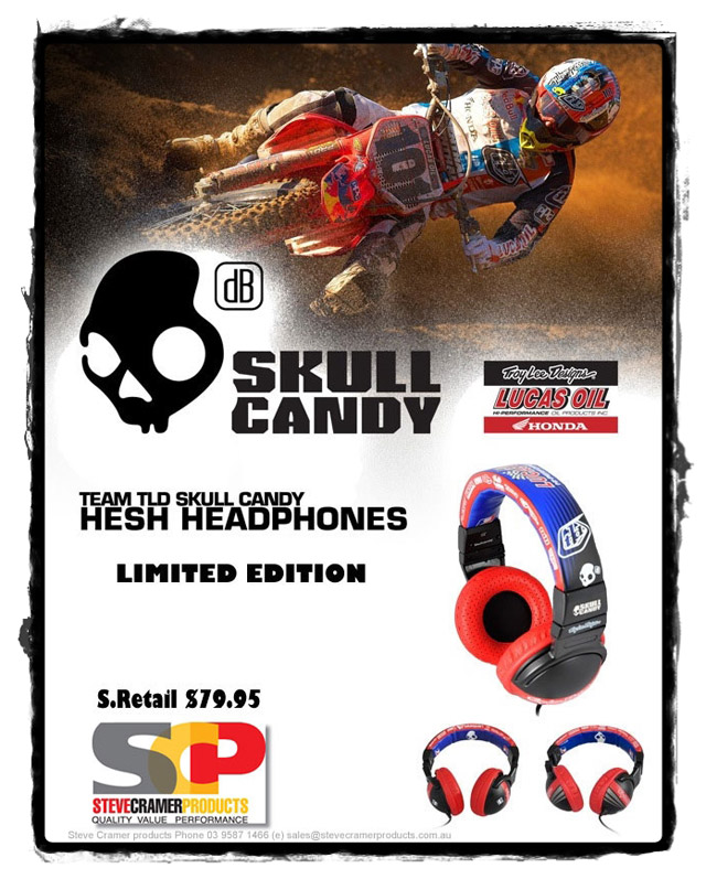 Troy Lee Designs Skull Candy Headphones