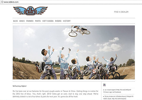 se-website