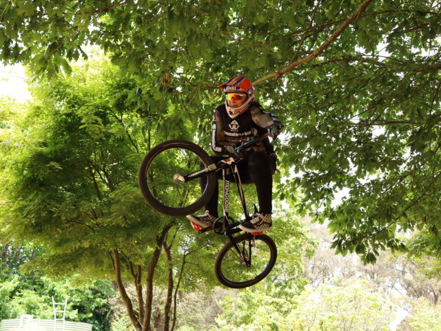 bmxultra.com